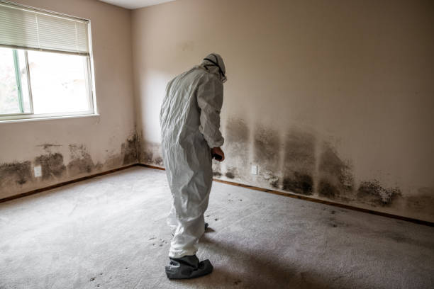 Biohazard Mold Removal in Great Falls, MT